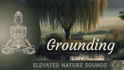 Grounding with The Tone Of The Earth 432 Hz Pure Tone HQ Sound Of Crickets