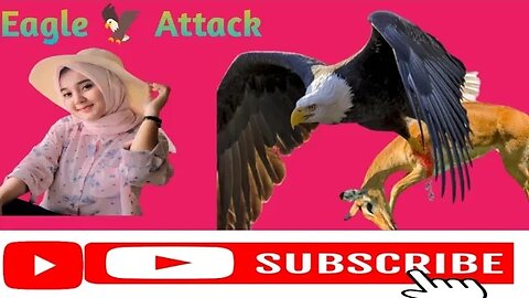 🦅 5 best eagle attacks caught on camera😱 watch complete video very nice video ❤️#Eagles #EagleAttack