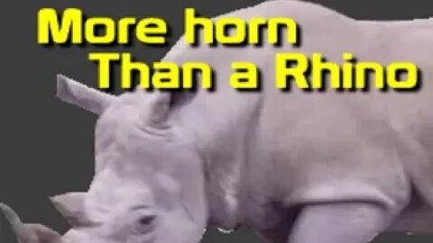One of these Rhinos isn't what it seems