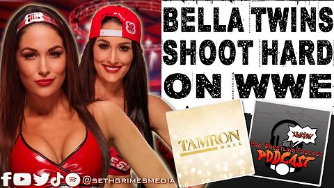 Bella Twins SHOOT on WWE over Women's Representation | Clip from Pro Wrestling Podcast Podcast #wwe