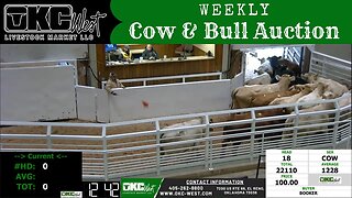2/6/2023 - OKC West Weekly Cow & Bull Auction