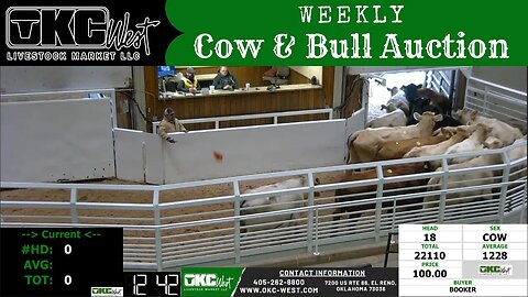2/6/2023 - OKC West Weekly Cow & Bull Auction