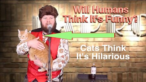 Comedian Performs Standup Comedy For Cats Then Claims He's Mark Normand