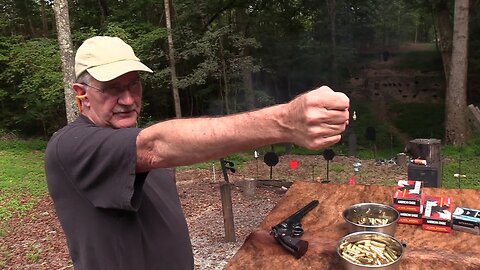 44 Magnum Model 29 8 3/8" Big Game Hunt