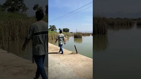 Walking beside tomb place, #tourvlog,#shorts,#naturelovers,#tomb