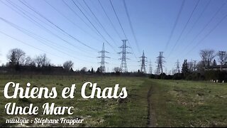 Chiens et Chats - Uncle Marc