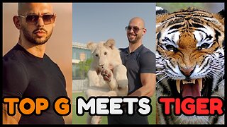 Top G Meets TIGER