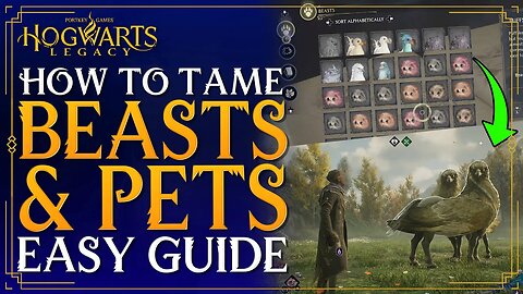 Hogwarts Legacy - How To TAME & CATCH Magical Beasts Pets