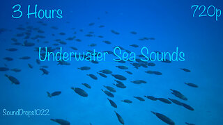 Calm And Relaxing 3 Hours Of Underwater Sea Sounds