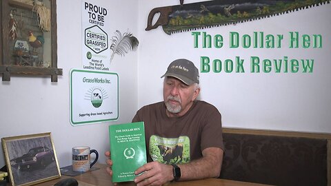 The Dollar Hen Book Review Uncovering the Truth Behind Egg Production