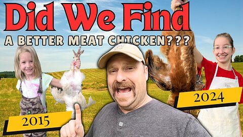 Did We Find The Best Backyard Meat Birds???