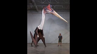 ￼￼t￼he ￼biggest The largest flying pterosaur