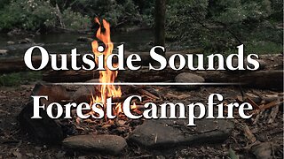 Forest Campfire | 8hrs | Sounds to help relax, sleep, read, & study.