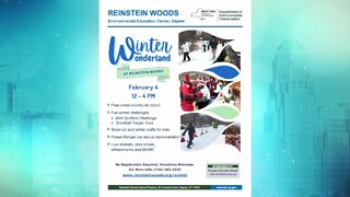 Reinstein Woods Nature Preserve loves Winter - Part 2