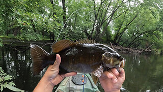 Netted a fish that wasn't hooked