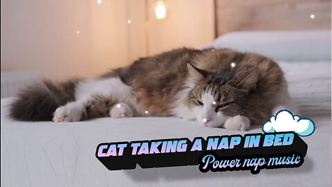 Cat Taking a nap in bed -AI Generated nap music for pets - 20min Music For Sleeping pets