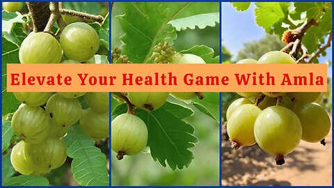 Elevate Your Health Game with Amla: Nature's Wellness Wonder