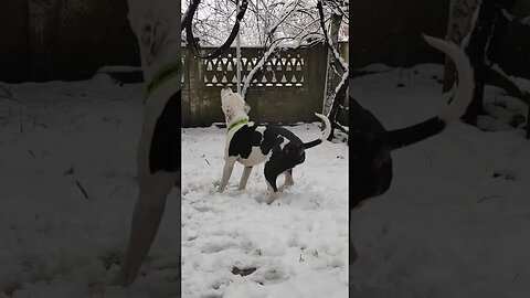 Snow training ❄️