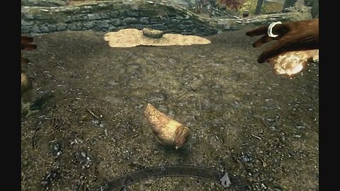 Roast chicken anyone #SkyrimVR