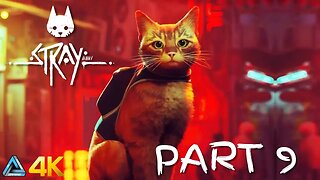 Let's Play! Stray in 4K Part 9 (PS5)