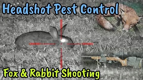 Headshot Pest Control || Fox and Rabbit Shooting || 17HMR with Night Vision