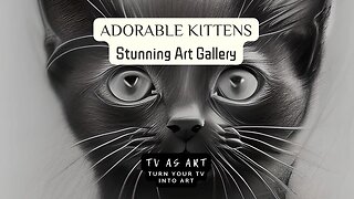 Adorable Kitten Drawings 😻 1hr Gallery HD@tvasart #pencilart #pencildrawing #viral #art #cat #cats