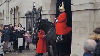 They just move out of the way #horseguardsparade