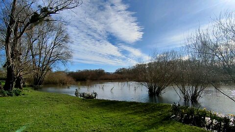 Thouaré sur Loire - Loire Atlantique - França