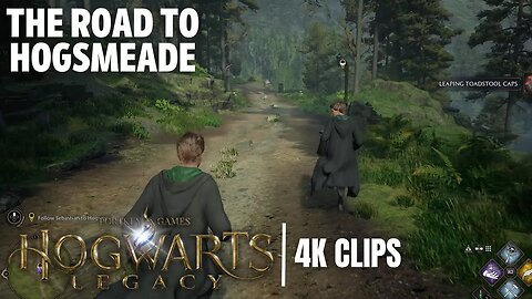 The Road To Hogsmeade With Sebastian | Hogwarts Legacy 4K Clips