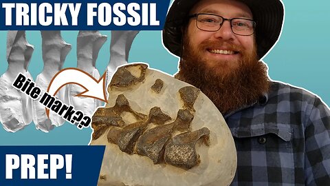 Prepping a mystery 12 million year old fossil bone block I found on a beach (Maker's Challenge)