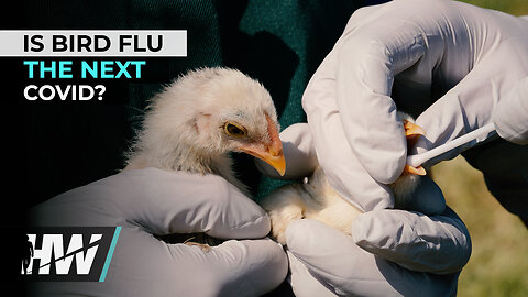 👀 IS BIRD FLU THE NEXT COVID? | The HighWire with Del Bigtree