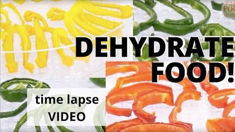 Dehydrated Food Time Lapse Fun Video from Easy Food Dehydrating