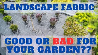 Is landscape fabric good or bad for your garden?