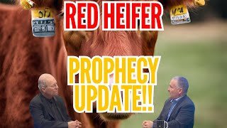 RED HEIFER PROPHECY UPDATE: w/ Mondo Gonzales