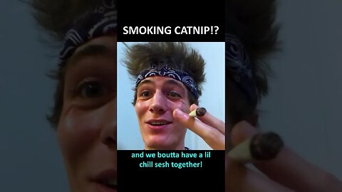 Smoking CATNIP! 😸😸