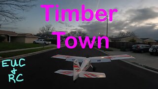 This is Timber Town! (Best RC Footage, EVER!!!)