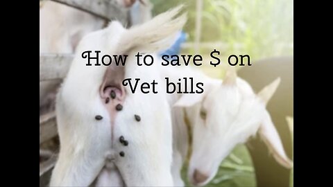 Do your own fecal analysis at home. Save money on Vet bills!