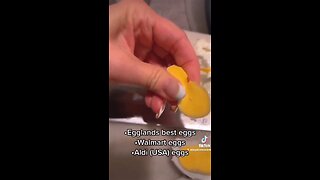 New Eggs Made From Plastic?