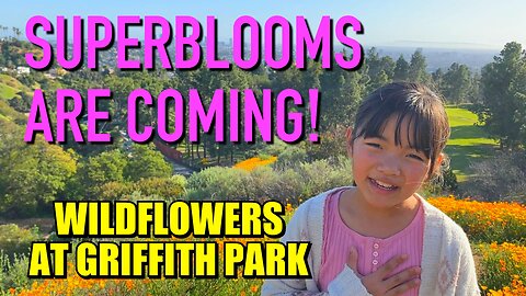 WILDFLOWERS AT GRIFFITH PARK