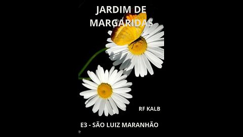 JARDIM DE MARGARIDAS EP-3 SÃO LUIZ DO MARANHÃO