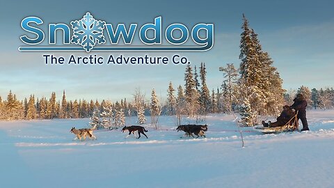 A Different World - Husky Dog Sledding in Lapland