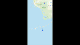Florida Keys Dolphins! 😎