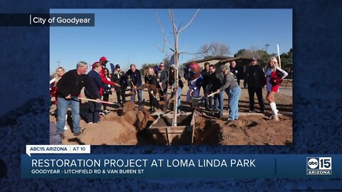 NFL gives Goodyear $4K grant to restore historic Loma Linda Park