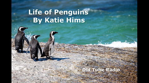 Life of Penguins by Katie Hims. BBC RADIO DRAMA