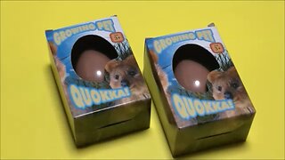 Quokka Growing Pet Toy