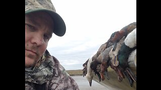 Ducks & Geese Falling From Sky/Dog Retrieves (Pt. 3) Called In My First Duck