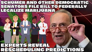 Schumer And Other Democratic Senators File Bill To Federally Legalize Marijuana