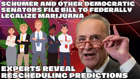 Schumer And Other Democratic Senators File Bill To Federally Legalize Marijuana