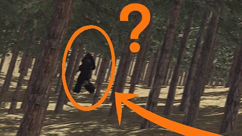 Sasquatch Sighting Along Railway?