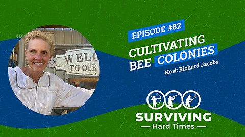 How You Can Start Cultivating Bee Colonies | Important Advice From An Expert
